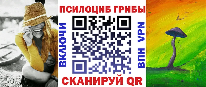 Купить закладки  Киселёвск  Галлюциногенные грибы Psilocybine cubensis 
